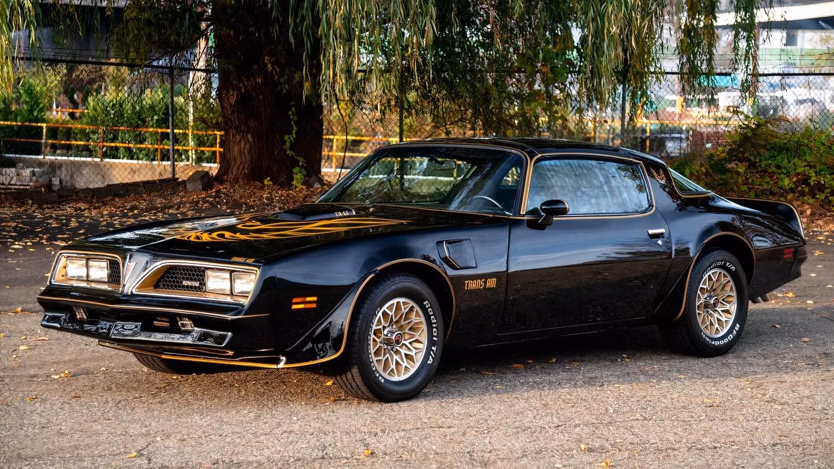 10-muscle-cars-set-to-skyrocket-in-value-by-2026-image-3