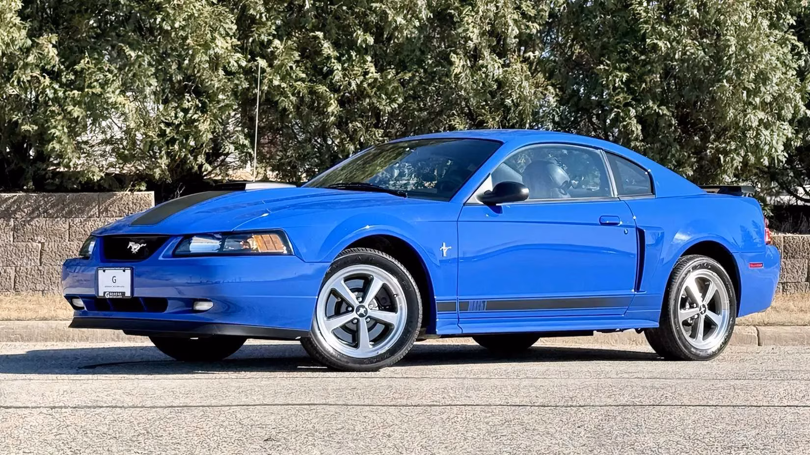 affordable-muscle-car-legends-special-editions-now-within-reach-image-6