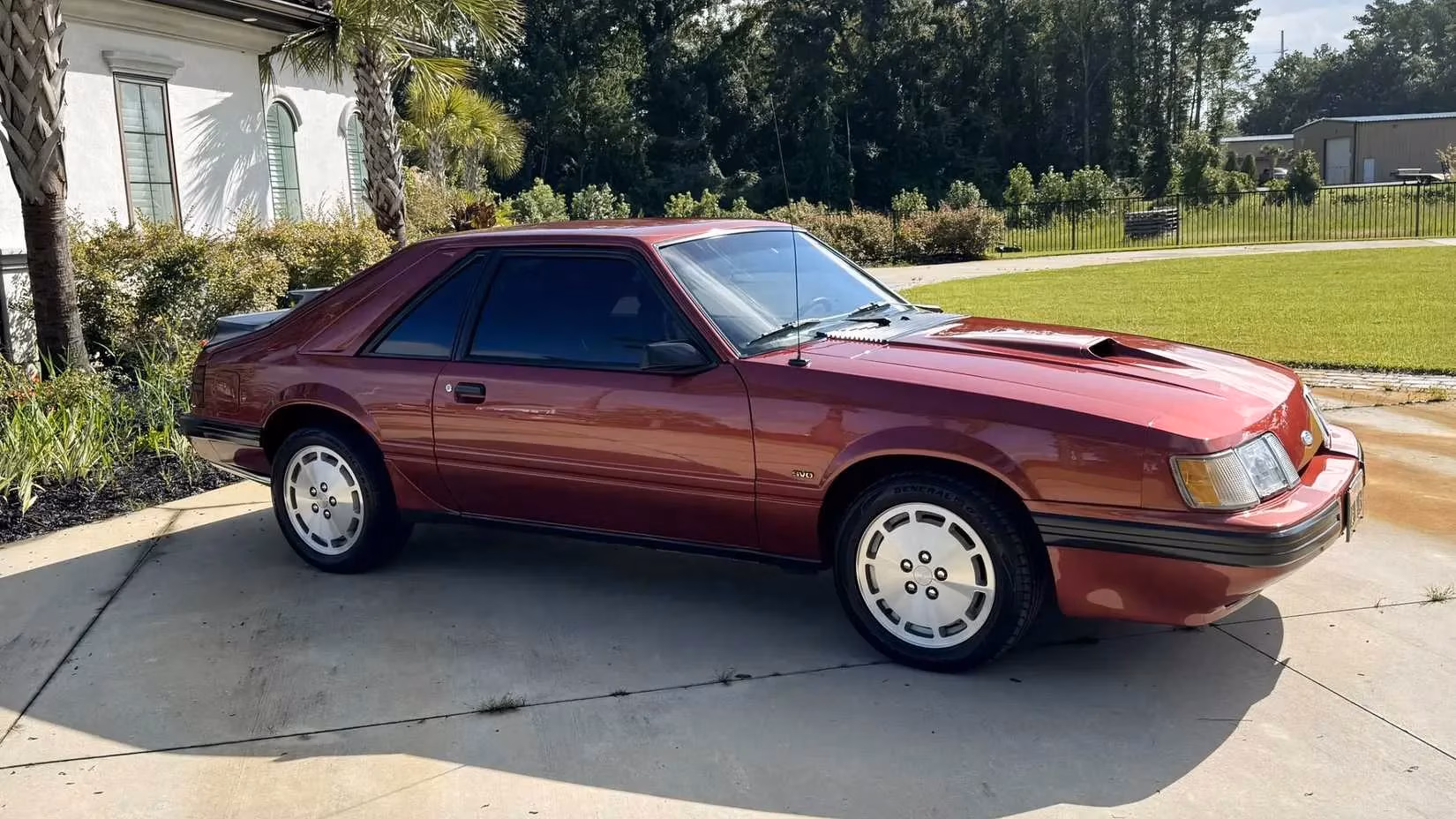 affordable-muscle-car-legends-special-editions-now-within-reach-image-7