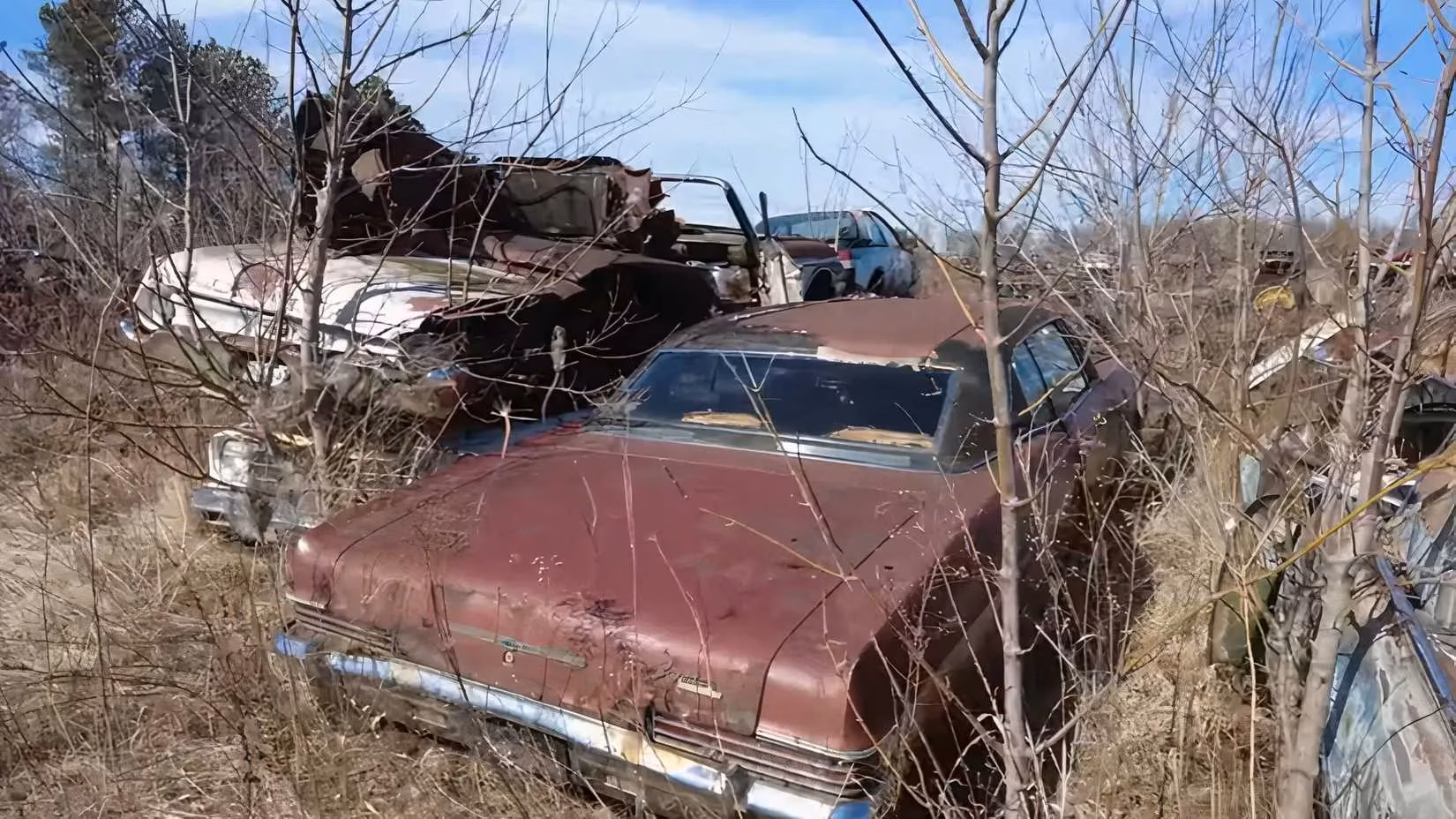 twin-1969-mach-1-mustangs-in-a-michigan-junkyard-a-gamers-heartbreak-image-2