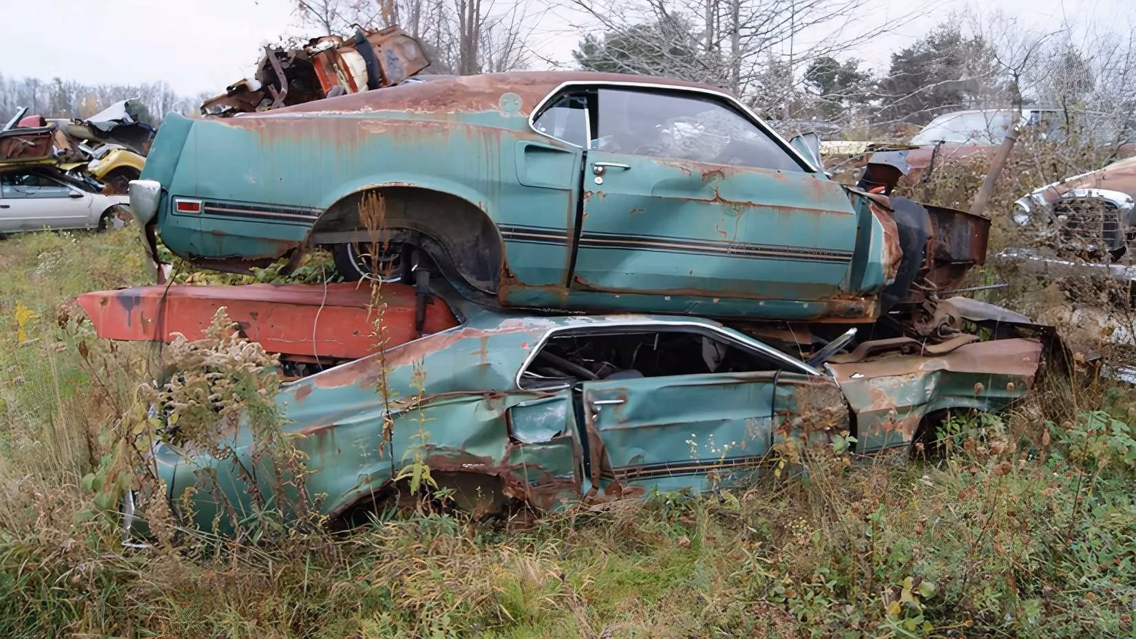 twin-1969-mach-1-mustangs-in-a-michigan-junkyard-a-gamers-heartbreak-image-1