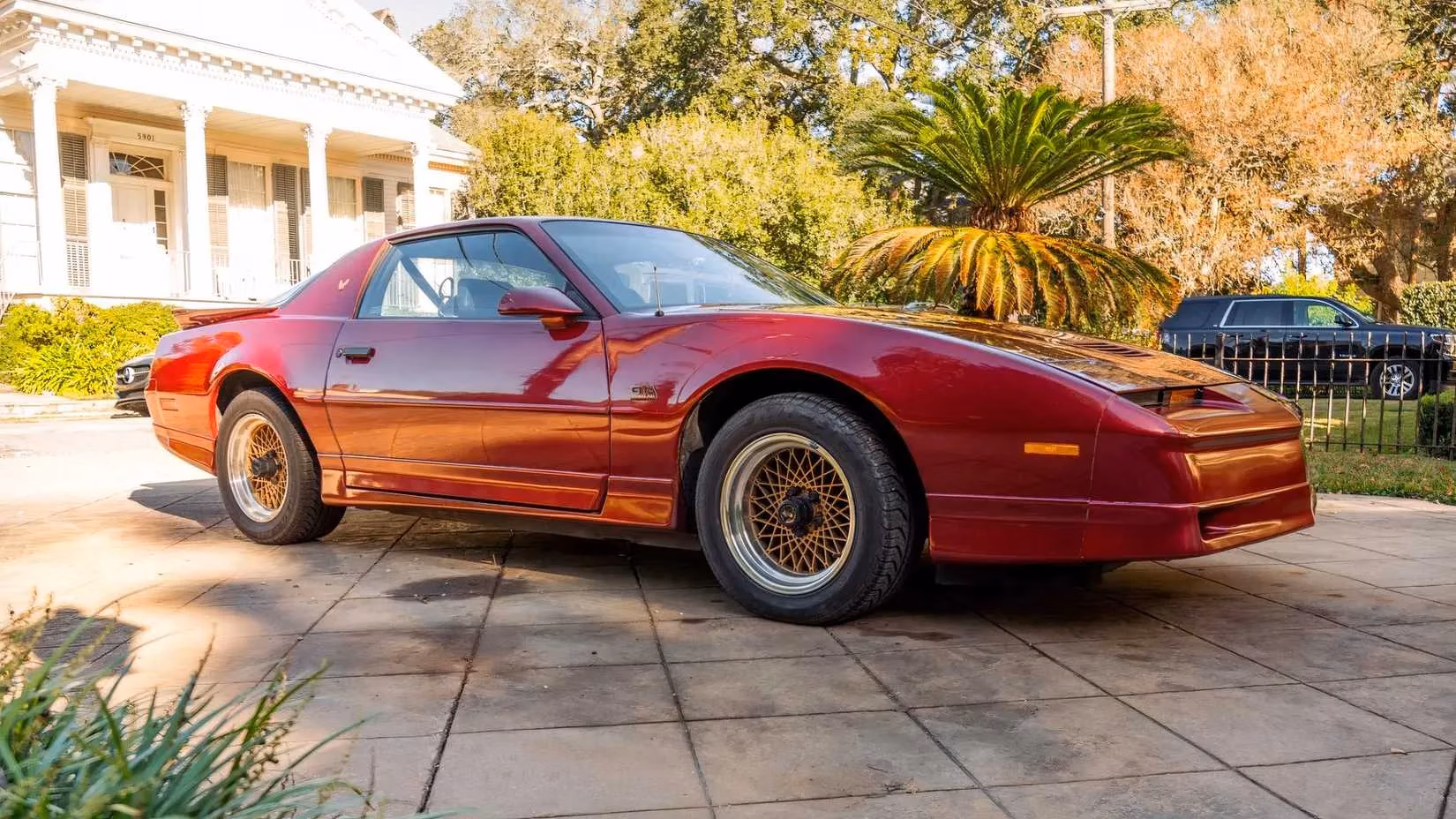 affordable-muscle-car-legends-special-editions-now-within-reach-image-5